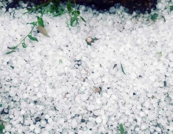 Παράταση δηλώσεων για ζημιές από χαλάζι και βροχόπτωση σε Μακροχώρι και Διαβατό