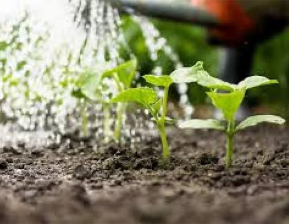 Ενημερωτική συνάντηση για τη λειτουργία και τη διαχείριση του αρδευτικού συστήματος για το έτος 2026 διοργανώνεται την Δευτέρα 30 Μαρτίου στο Δημαρχείο Μελίκης