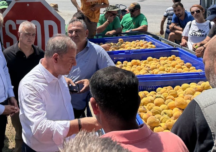 Στις πληγείσες από χαλαζόπτωση περιοχές της Ημαθίας ο ΥφΑΑΤ, Διονύσης Σταμενίτης (ΦΩΤΟΣ)