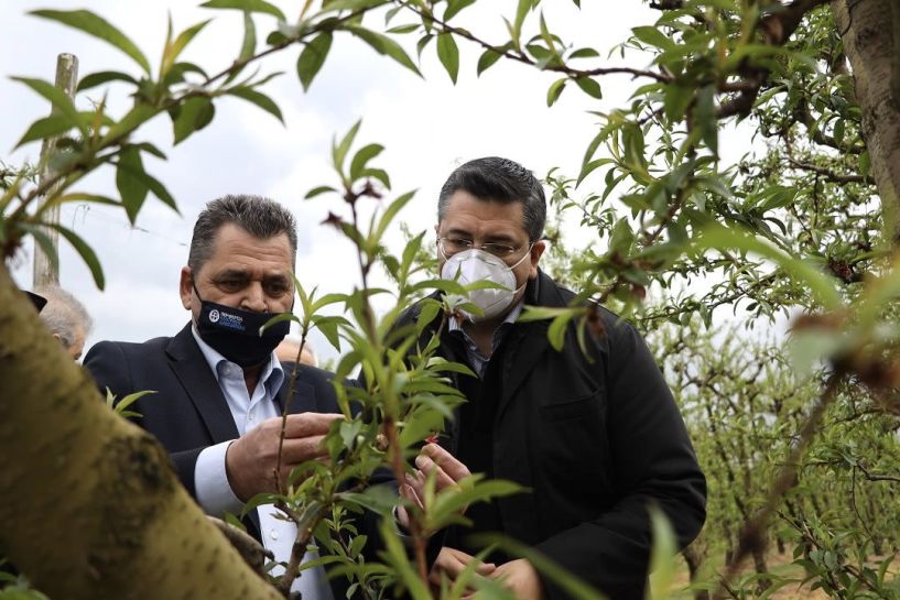 Δήλωση Κώστα Καλαϊτζίδη για τις πληγείσες περιοχές από τον παγετό: Με μπροστάρη τον Απ. Τζιτζικώστα θα αντιμετωπίσουμε συλλογικά το πρόβλημα