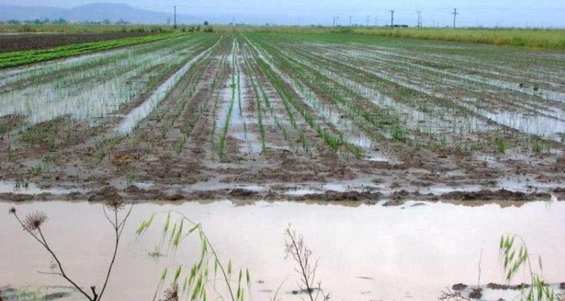 Αιτήσεις χορήγησης ενίσχυσης ΚΟΕ για τις πλημμύρες 2014-2015 στον δήμο Βέροιας