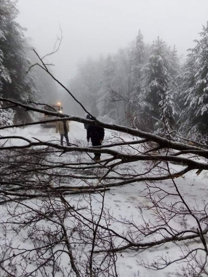 Πρωτοφανής χιονόπτωση και πεσμένα δέντρα χθες στο Σέλι (Βίντεο)