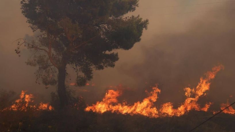 Για τα εγκλωβισμένα ζώα, από τη φωτιά