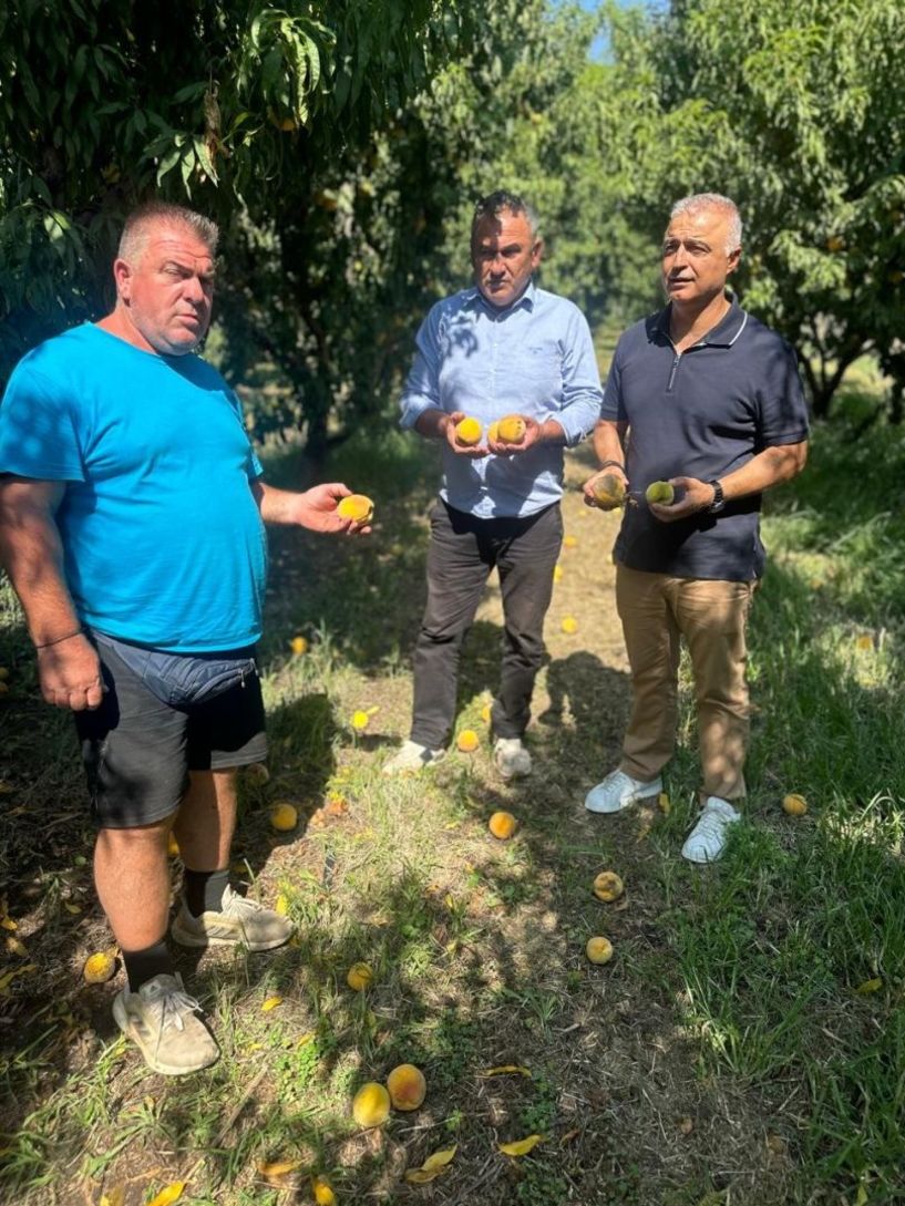 Δίπλα στους πληγέντες παραγωγούς της Ημαθίας ο Λάζαρος Τσαβδαρίδης (ΦΩΤΟΣ)