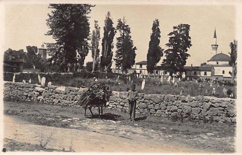 ΜεΜιαΜατια Μία εικόνα που αποτυπώνει πολύ ζωντανά την ατμόσφαιρα της Βέροιας το 1917