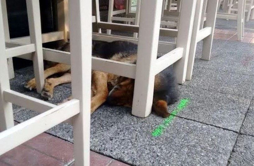 Νόμιμος μέχρι και... ο Λάλος!