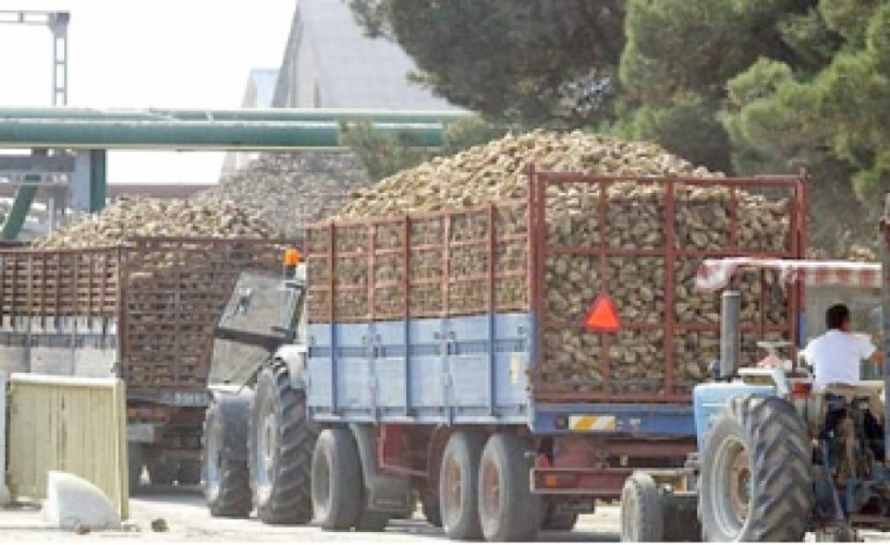 Σήμερα ψηφίζεται η τροπολογία για εξόφληση των τευτλοπαραγωγών και των εργαζομένων στην Ε.Β.Ζ