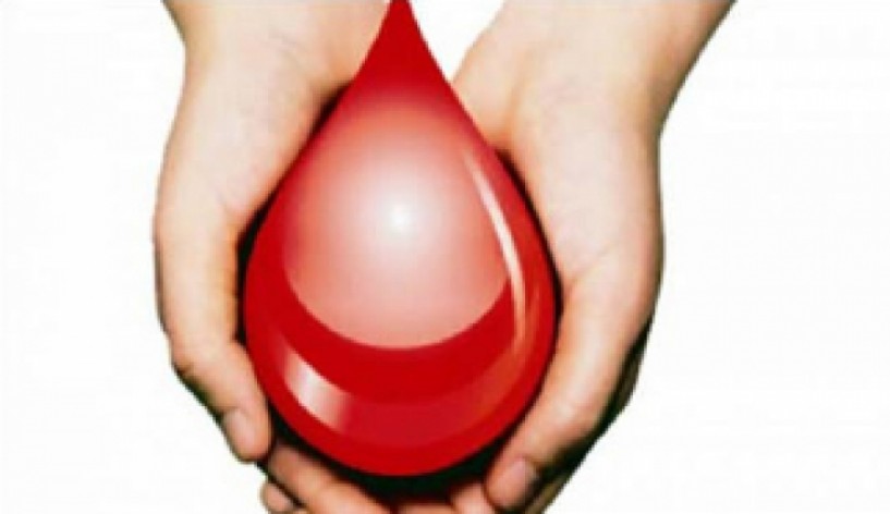 Την Τετάρτη 7 Σεπτεμβρίου  -  Εθελοντική Αιμοδοσία  στο Κέντρο  Υγείας Αλεξάνδρειας
