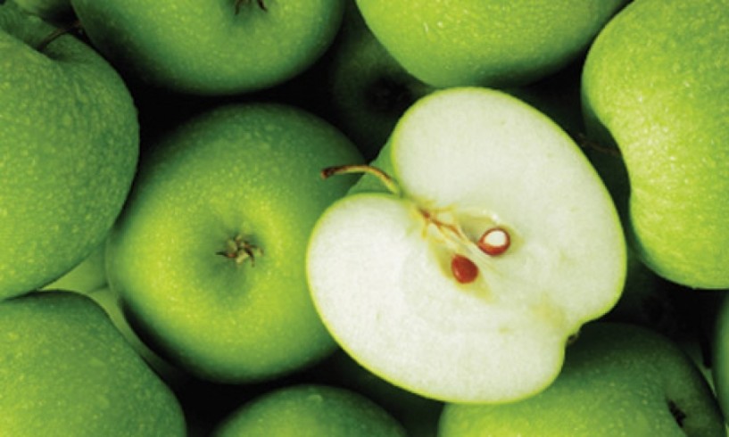 Η πρόωρη συγκομιδή των πράσινων μήλων (Granny smith) και η διάθεσή τους στα σχολεία