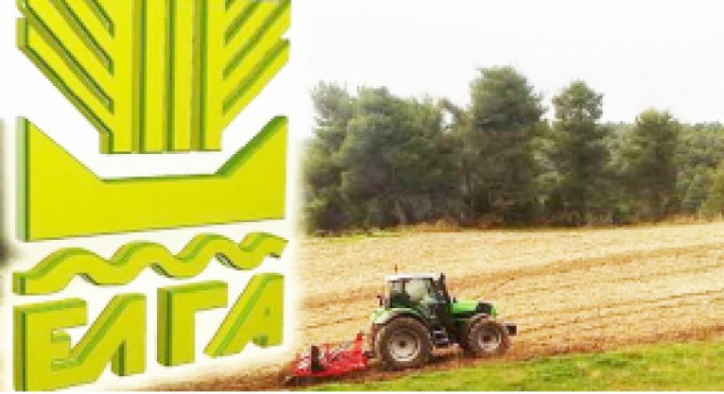 272.107 ευρώ σήμερα  από τον ΕΛΓΑ  για αποζημιώσεις