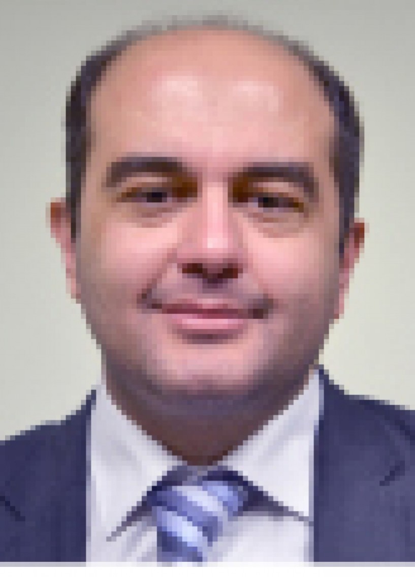 H διάψευση  του μικροαστικού ονείρου Γράφει ο   Χρήστος Α.  Αποστολίδης*
