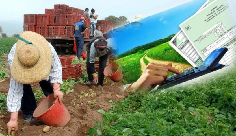 Ημερίδα για τη φορολογία των αγροτών την Κυριακή στο Επιμελητήριο. Το Σάββατο η βασιλόπιτα