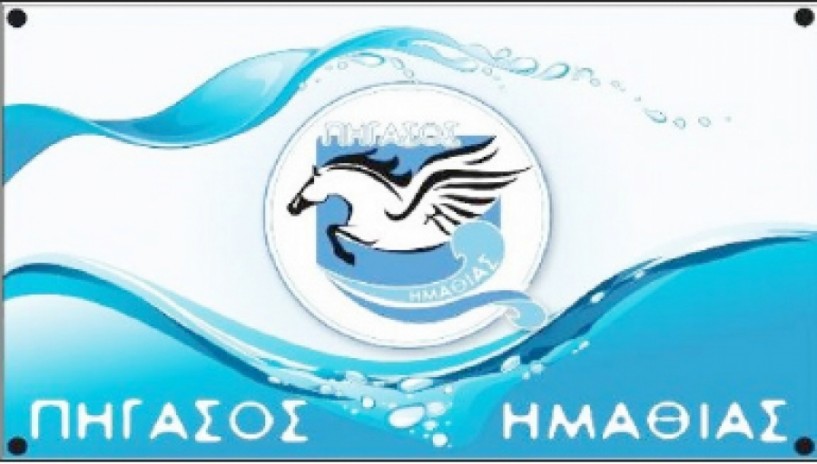 Σε μεγάλη ετοιμότητα τα προαγωνιστικά δελφίνια του Πήγασου στους Χειμερινούς Αγώνες κολύμβησης