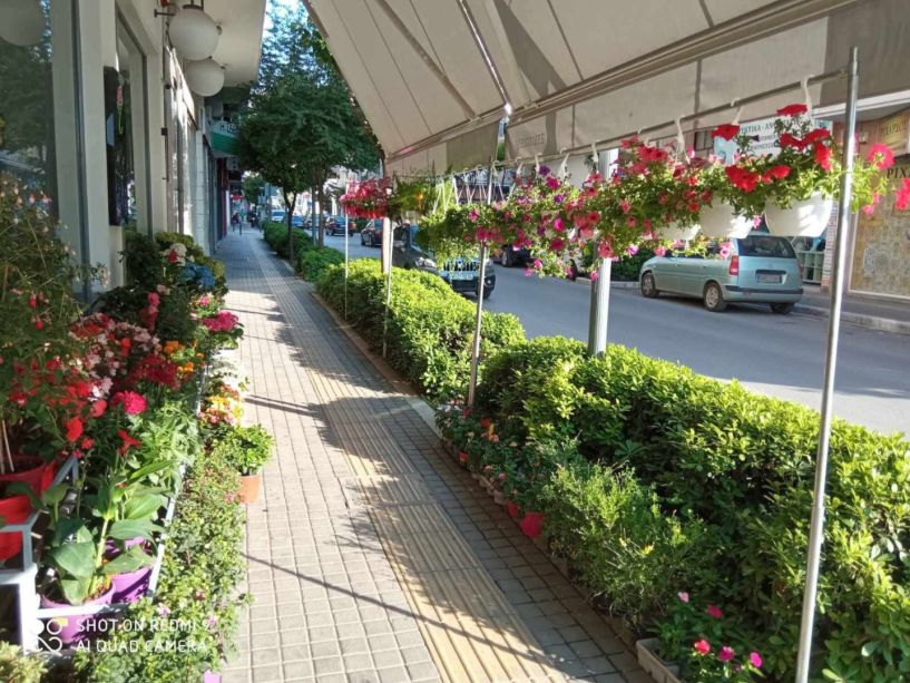 Η μικρή πράσινη όαση της Βενιζέλου παράδειγμα για όλη τη Βέροια
