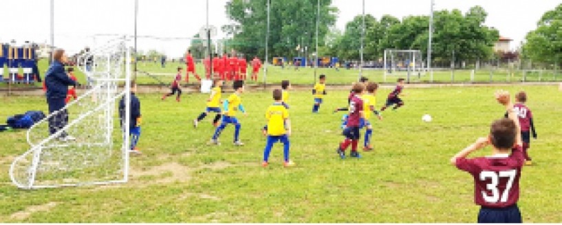 Επιτυχημένο το τουρνουά της σχολής ποδοσφαίρου Α.Ε.Π. Βέροιας «Στέφανος Γαϊτάνος»