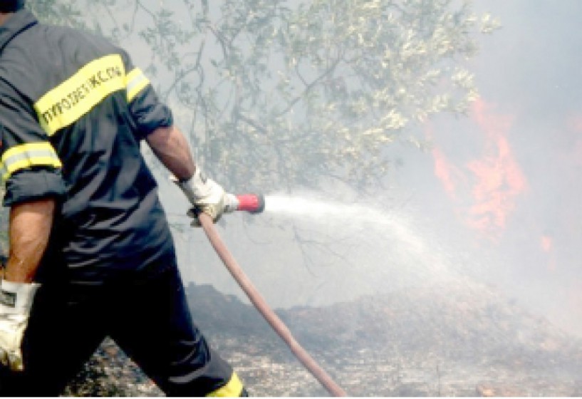 Άσκηση της   Πυροσβεστικής αύριο στο Βέρμιο για   αντιμετώπιση μεγάλης δασικής πυρκαγιάς