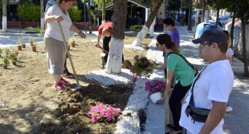 Πράσινο και ομορφιά μπροστά από το Πνευματικό Κέντρο