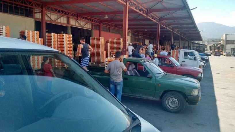 Δραματική η εικόνα στο ροδάκινο. Ανοικτά φορτία από την Ισπανία πιέζουν τις τιμές και ακυρώνουν παραγγελίες. Ανάγκη ευρωπαϊκής παρέμβασης πριν την καταστροφή