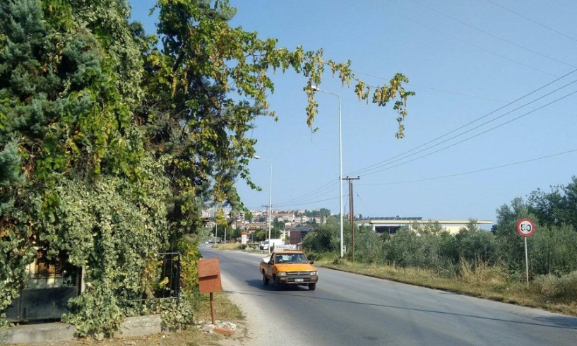 Ιπτάμενα... σταφύλια στην περιφερειακή