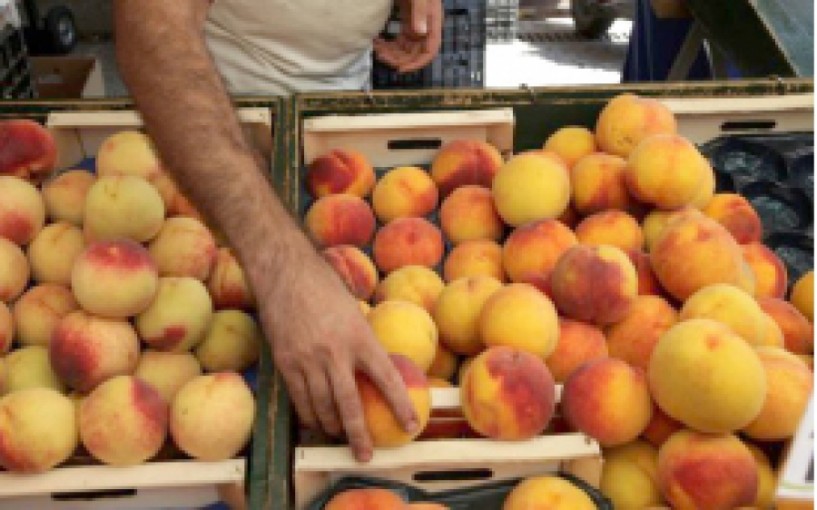 Να αυξηθούν οι ποσότητες δωρεάν διανομής  στα ροδάκινα και η οικονομική ενίσχυση ζητούν  Κοινοπραξία Ημαθίας και Υπουργείο από την Ε.Ε.