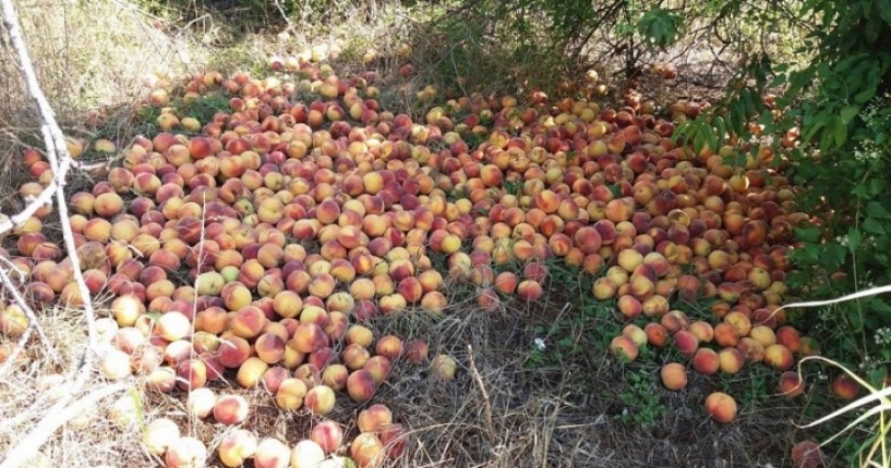 Θα προκύψουν αδικίες από τις τιμές, λένε οι αγρότες