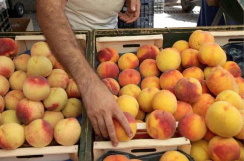 Τι συζητήθηκε στη συνάντηση με τον Υπουργό Αγροτικής  Ανάπτυξης για αποζημιώσεις και ενισχύσεις ροδακινοπαραγωγών