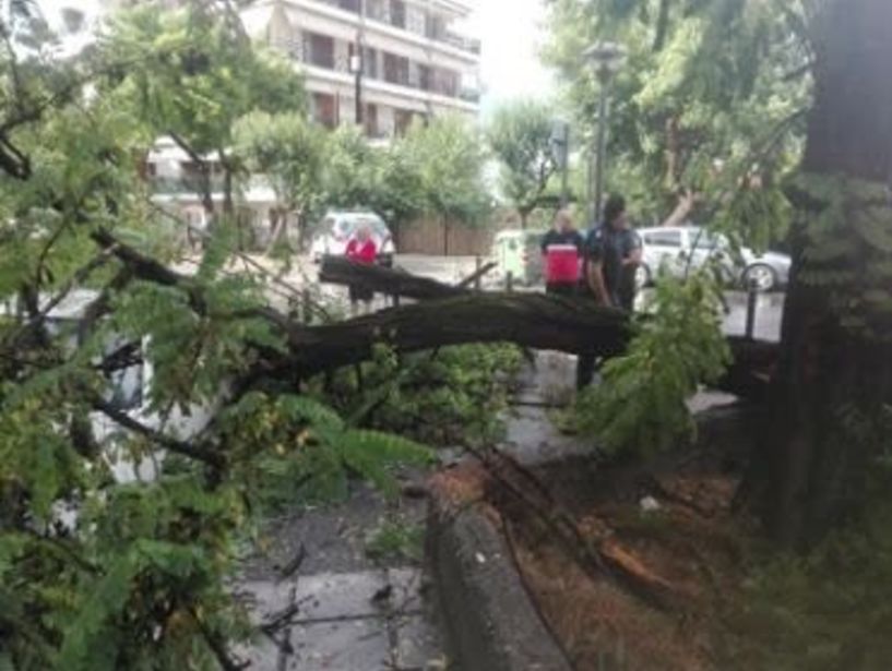 Πτώσεις δέντρων και ζημιές, από σφοδρή καταιγίδα με χαλάζι, το απόγευμα στη Βέροια (φωτο) 