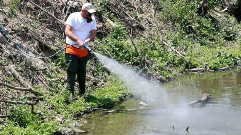 Ψεκασμός για την αντιμετώπιση των ακμαίων κουνουπιών αύριο το βράδυ στον οικισμό Μέσης 