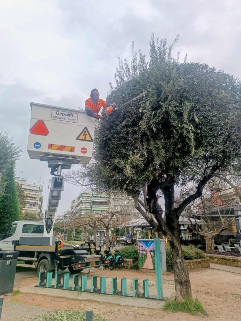 Συνεργείο του δήμου έκανε τις ελιές «κούκλες» στο πάρκο Εληάς!
