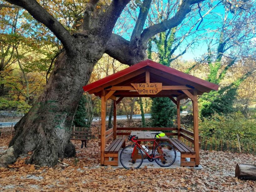 Σάββατο 8 Νοεμβρίου:  Στη Βέροια το 2ο brevet  της χρονιάς, 200 χλμ,  με εκκίνηση και τερματισμό  στην πλατεία Ωρολογίου