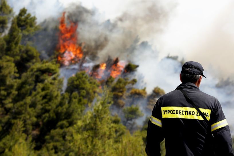50 στρέμματα δάσους έκαψε φωτιά στους Γεωργιανούς