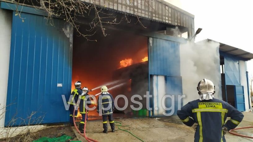 Χαλάστρα: Μεγάλη φωτιά σε συσκευαστήριο φρούτων και λαχανικών (βίντεο)