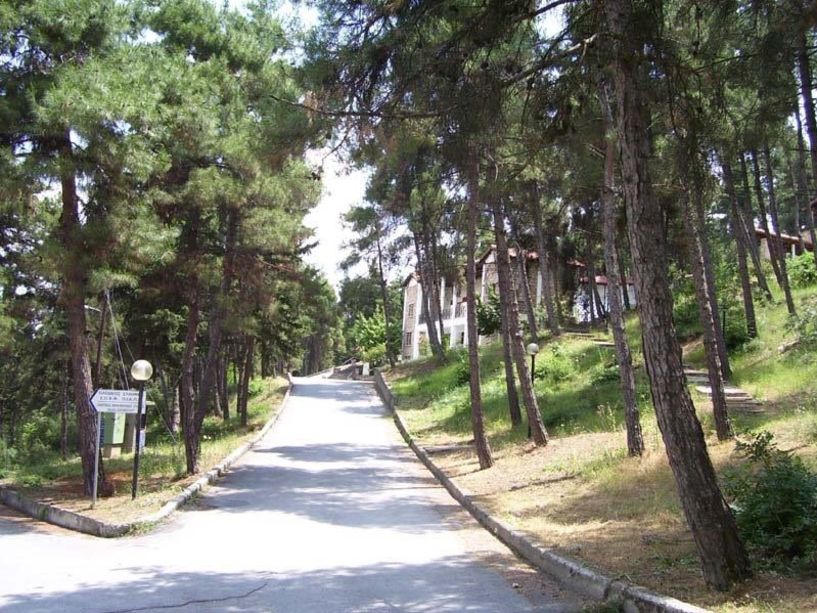Καθαρίζει άλσος Παπάγου και Πατρίδας ο Δήμος Βέροιας λόγω υψηλού κινδύνου πυρκαγιάς
