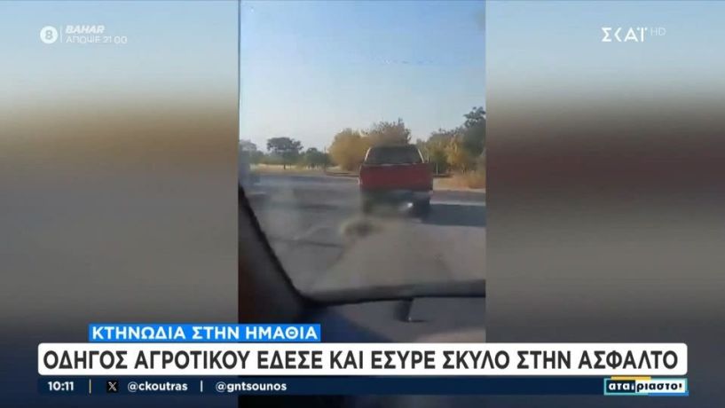 Ημαθία:  Στον Εισαγγελέα  ο συλληφθείς που έσερνε σκύλο δεμένο στο αγροτικό του