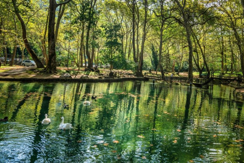 Απαγόρευση στάθμευσης στο άλσος Αγίου Νικολάου