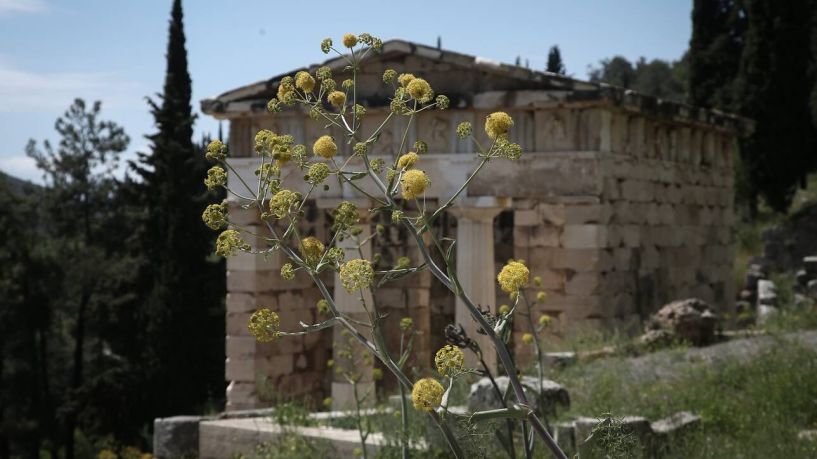 Παγκόσμια Ημέρα Μνημείων: Ελεύθερη αύριο η είσοδος στους υπαίθριους αρχαιολογικούς χώρους