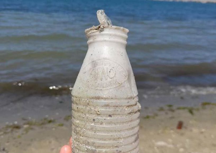 Θεσσαλονίκη: Βρήκαν άθικτο πλαστικό μπουκάλι 40 ετών από κακάο της ΑΓΝΟ - Τραγικές οι επιπτώσεις στο περιβάλλον!