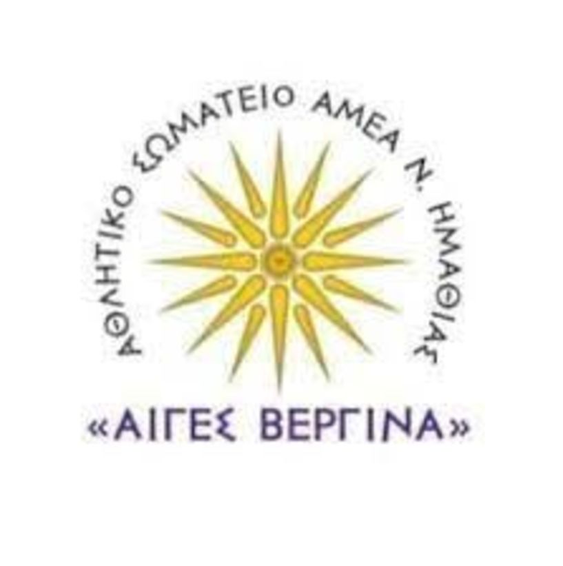 Γενική συνέλευση στο Αθλητικό Σωματείο ΑμεΑ  Αιγές Βεργίνα 