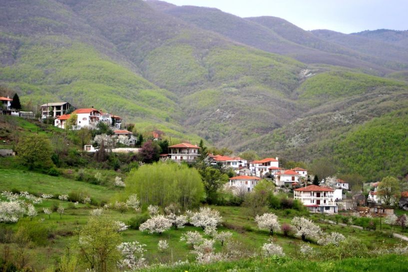 ΔΙΑΧΕΙΡΙΣΤΙΚΗ ΕΠΙΤΡΟΠΗ ΔΑΣΟΥΣ ΦΥΤΕΙΑΣ - ΑΝΑΚΟΙΝΩΣΗ