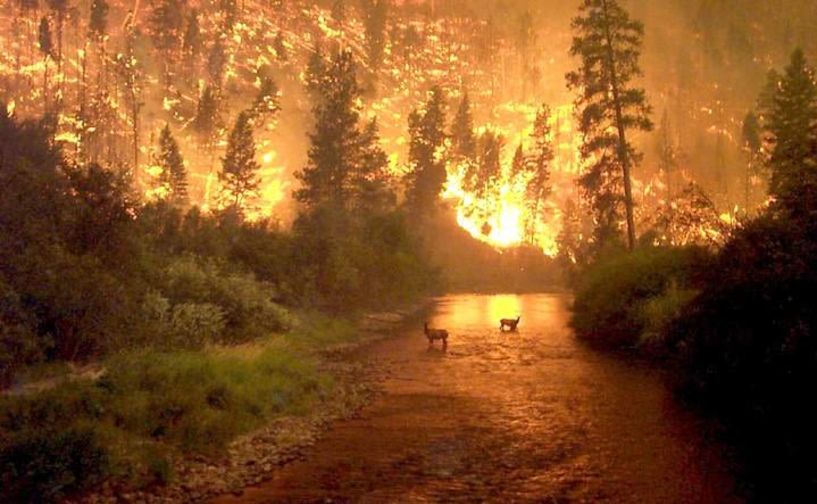 ΔΙΟΙΚΗΣΗ ΠΥΡΟΣΒΕΣΤΙΚΩΝ ΥΠΥΡΕΣΙΩΝ ΗΜΑΘΙΑΣ: Απαγορεύεται η φωτιά σε ύπαιθρο και δάση! - Αναλυτικές οδηγίες