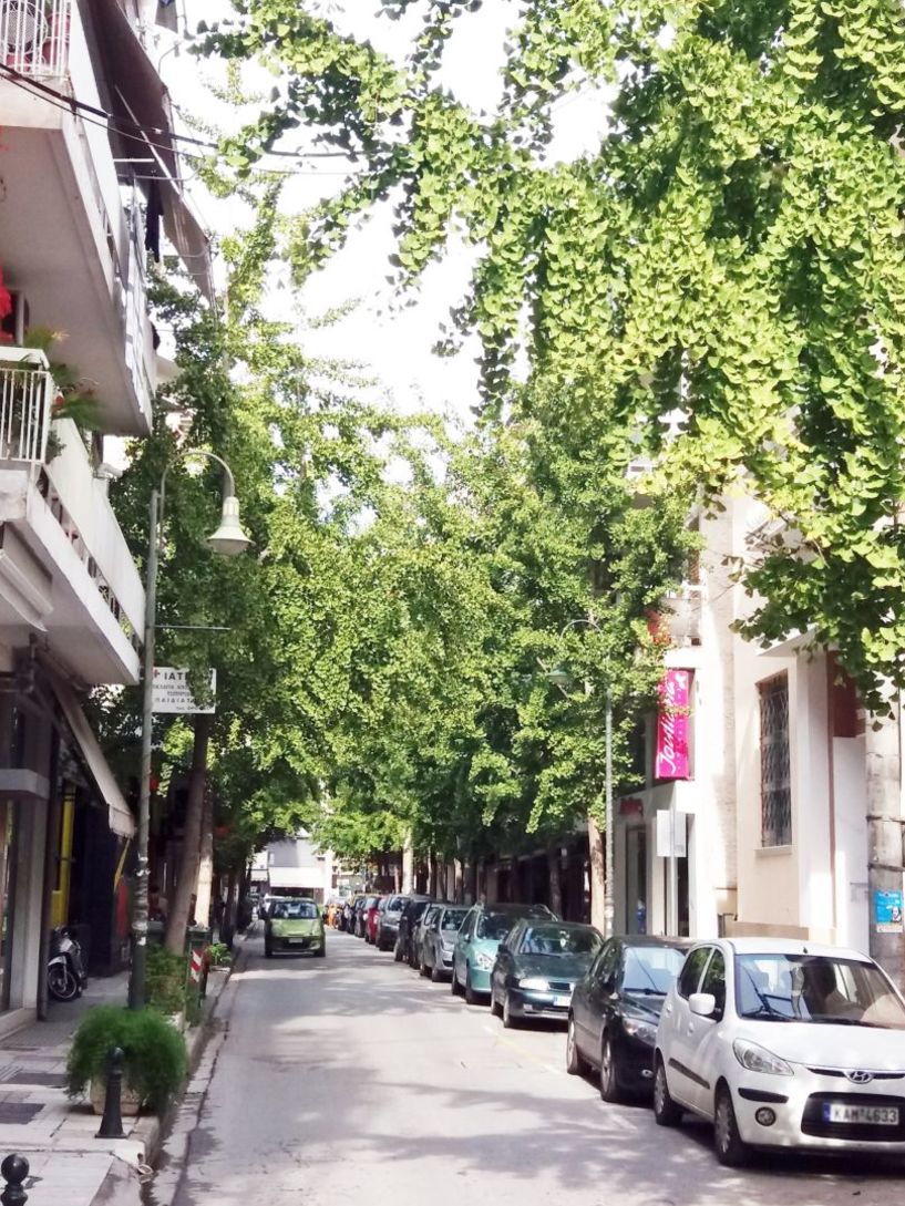 Επιστολή στον ΛΑΟ -  Δενδροφυτεύσεις, χθες!