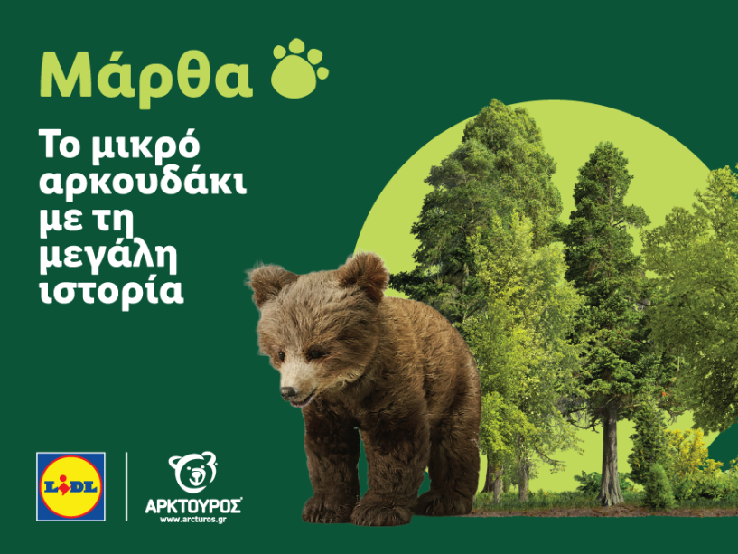 Η Lidl Ελλάς στήριξε την επιτυχή επανένταξη της Μάρθας στη φύση, σε συνεργασία με τον ΑΡΚΤΟΥΡΟ