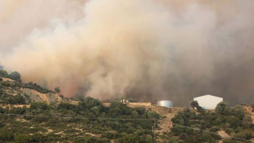 Φωτιά στο Καλαμίτσι στη Χαλκιδική