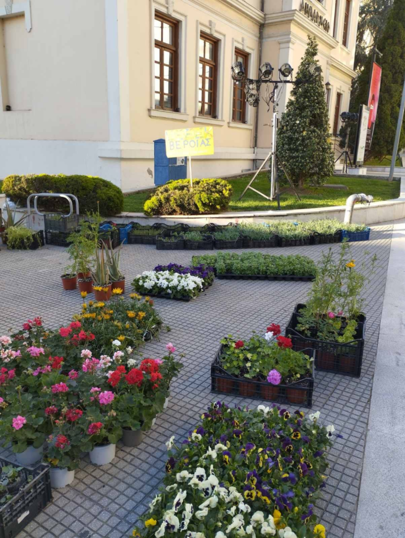 Ανθοκομική έκθεση την Τρίτη από τα παιδιά του Ε.Ε.Ε.Ε.Κ. Βέροιας