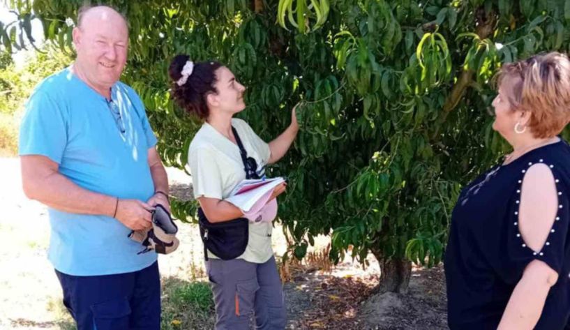 Επίσκεψη της Αντιδημάρχου Αγροτικής Ανάπτυξης Άννας Βασιλειάδου στην Ειρηνούπολη     Εκτιμήσεις ζημιών από παγετό σε συνεργασία με γεωπόνους του ΕΛΓΑ