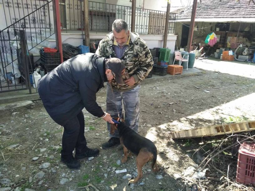 Έλεγχοι για δεσποζόμενα ζώα από τον Δήμο Νάουσας