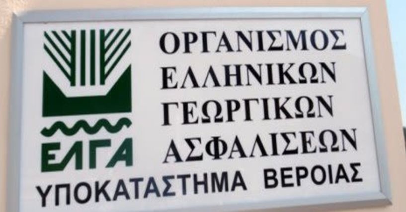 Πορίσματα εκτίμησης ζημιών σε καλλιέργειες Κορυφής και Πλατάνου