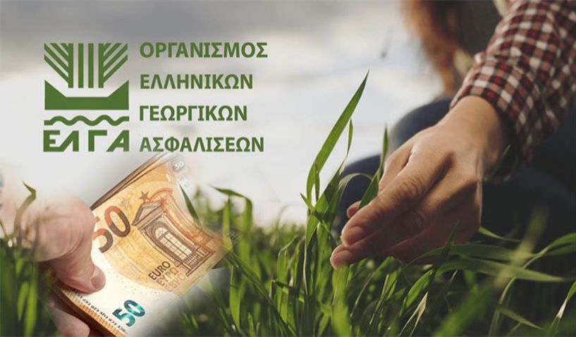 ΕΛΓΑ: Δεν απαιτείται η καταβολή των τελών εκτίμησης από τους πληγέντες παραγωγούς