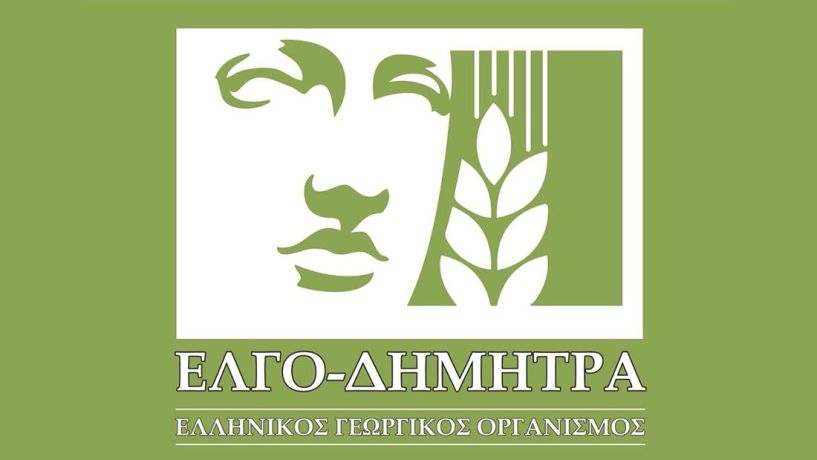 ΤΜΗΜΑ ΦΥΛΛΟΒΟΛΩΝ ΟΠΩΡΟΦΟΡΩΝ ΔΕΝΔΡΩΝ ΝΑΟΥΣΑΣ FREECLIMB 2022- Ετήσια Συνάντηση