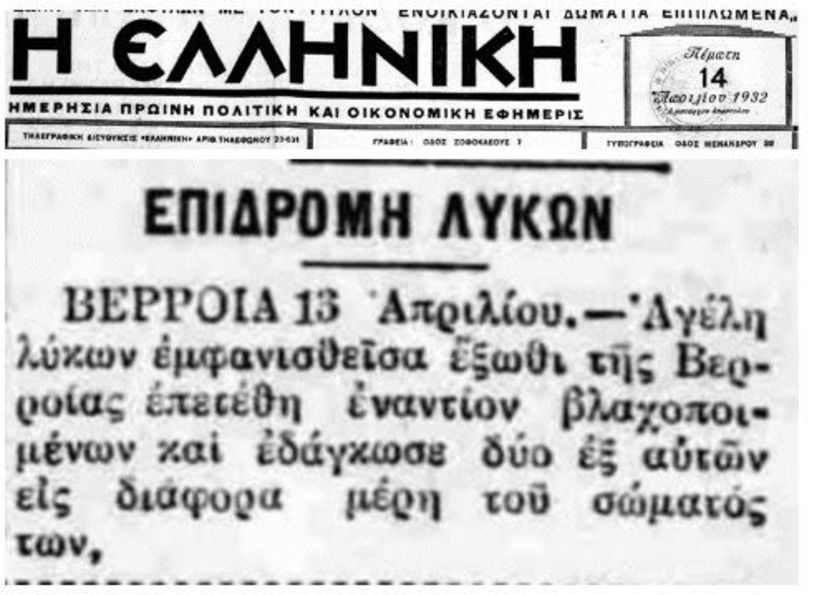Από το 1932 έγραφαν οι εφημερίδες για κάθοδο λύκων «έξωθι της Βέροιας»